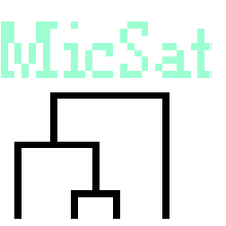 Micsat logo