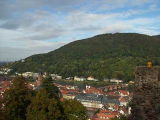 Castle Over Neckar