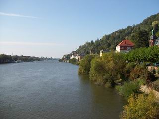Houses by Neckar River