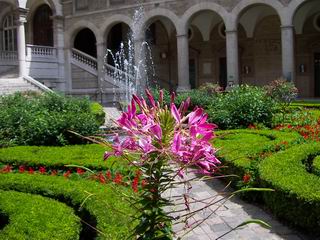 Hotel Dieu