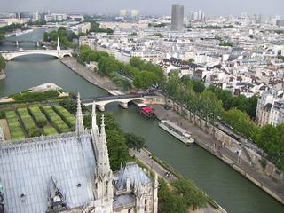 Seine From Notre Dame Tower