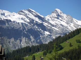 Alps and grass