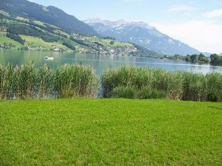 Lake Brienz