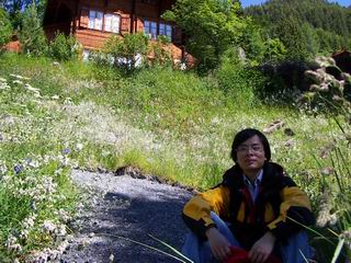 Murren flower